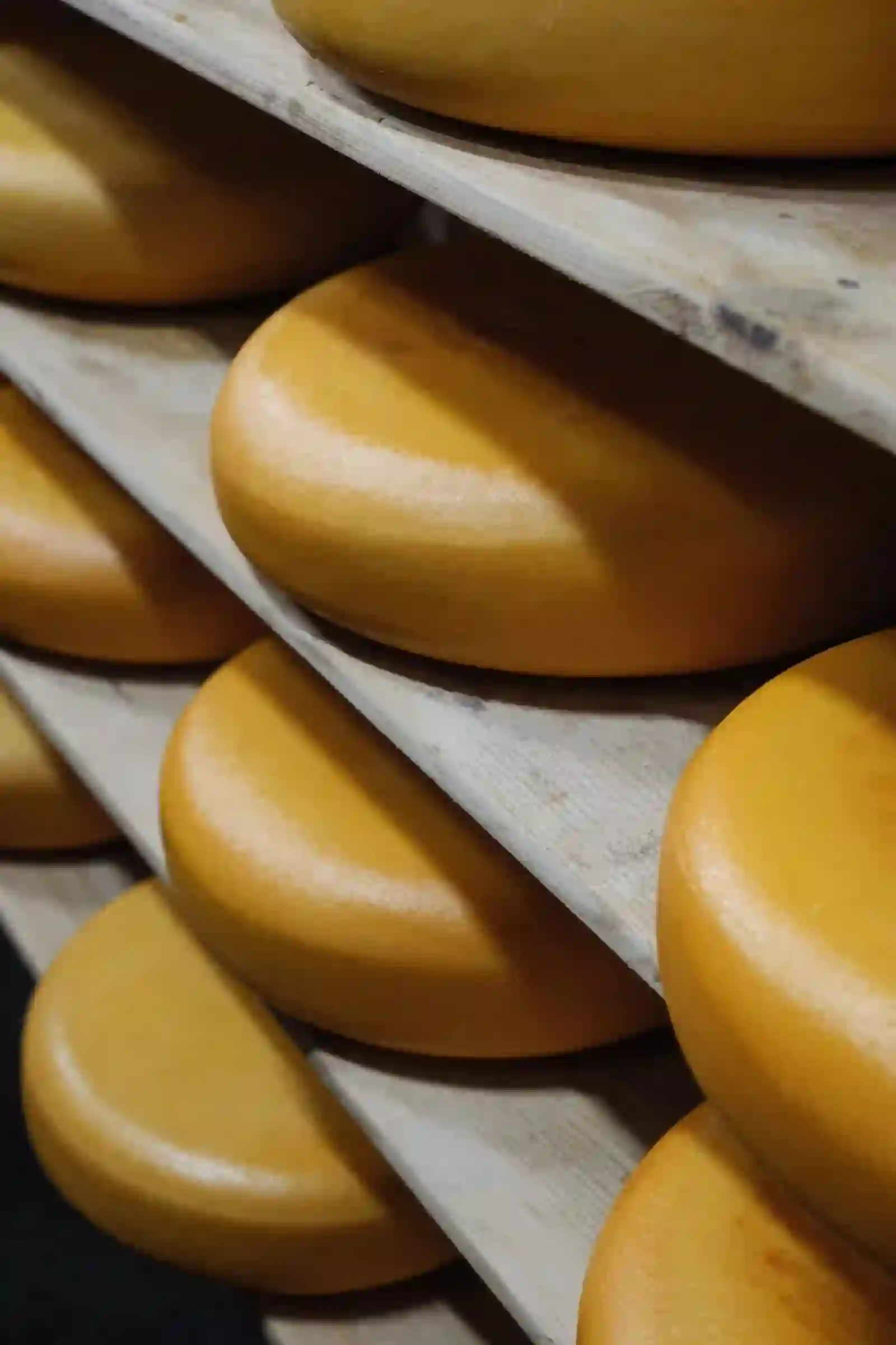 Cover photo for the insight: Apaq-W – “Concours des Meilleurs Fromages de Chez Nous”