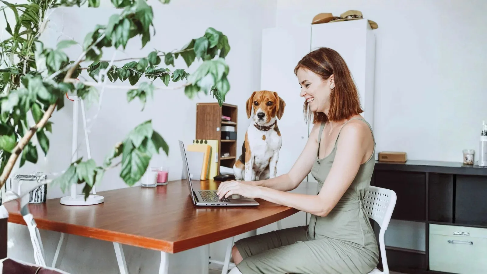 Cover photo for the insight: Mars – Giving pet-friendly policies a greater role in the recruitment conversation